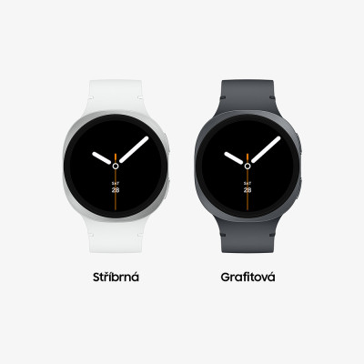 Samsung Galaxy Watch 8 (44mm,LTE) Graphite