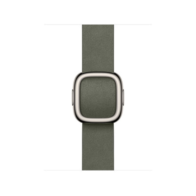 Apple 42mm Sage Gray Modern Buckle - Large