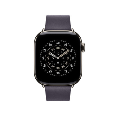 Apple 42mm Midnight Purple Modern Buckle - Large