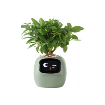 Inteligentní květináč PLANTSIO IVY zelený