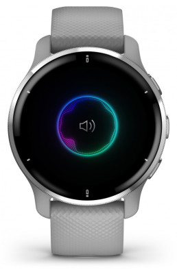 Garmin Venu2 Plus Silver/Gray Band