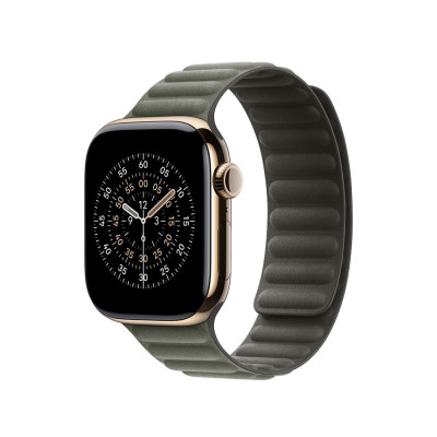Apple 42mm Sage Gray Magnetic Link - M/L