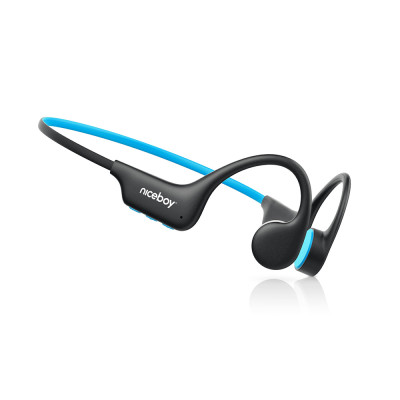 Niceboy HIVE Bones 3 Black