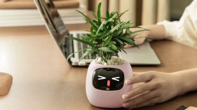 Inteligentní květináč PLANTSIO IVY gen 2 růžový