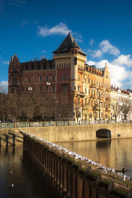 FREEWELL K2 Diffusion Glow Mist 1/8 Filter