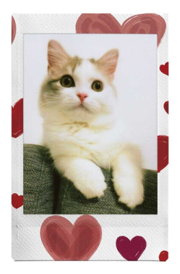 Fujifilm Instax mini Heart Sketch WW 10ks fotek