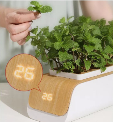 BOT Chytrý květináč s LED - světlé dřevo