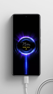 Xiaomi 6A Braided USB-C to USB-C Cable (1m)