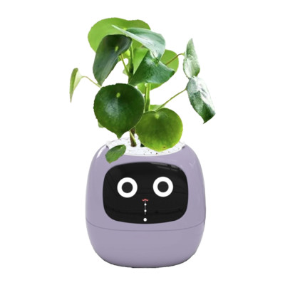 Inteligentní květináč PLANTSIO IVY fialový