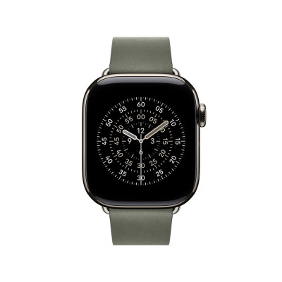 Apple 42mm Sage Gray Modern Buckle - Large
