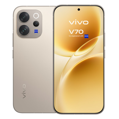 Vivo V70 512+8GB Alpine Grey
