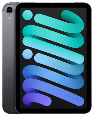 iPad mini Wi-Fi + Cellular 256GB - Space Grey