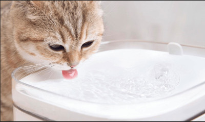 Xiaomi Smart Pet Fountain EU