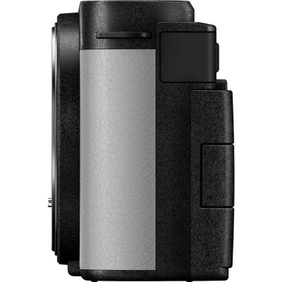 Panasonic LUMIX S9 body smokey white