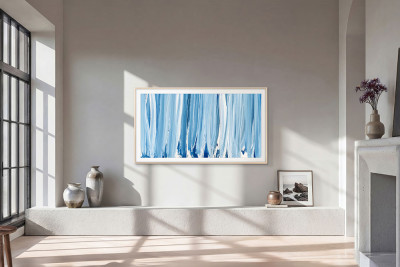55" The Frame Pro TV Samsung QE55LS03HWUXXH