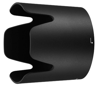 Nikon 70-300 mm F4.5-5.6E ED VR AF-P