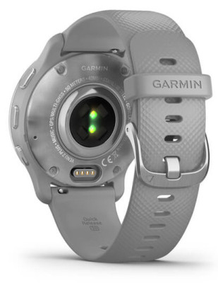 Garmin Venu2 Plus Silver/Gray Band