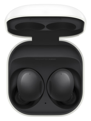 Samsung SM-R177NZKAEUE Galaxy Buds2, Graphite