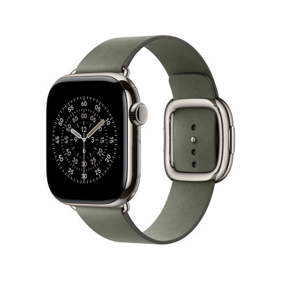 Apple 42mm Sage Gray Modern Buckle - Large
