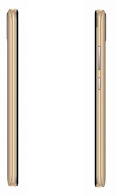 Aligator S5540 Senior Gold