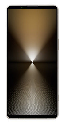 SONY Xperia 1 VI 12+256GB Platinum silver