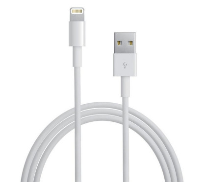 Apple Lightning to USB Cable (1m)