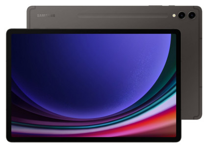 Samsung Tab S9 Ultra 512GB (14,6"WiFi) Gray