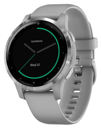 Garmin vívoactive4S Silver/Gray Band