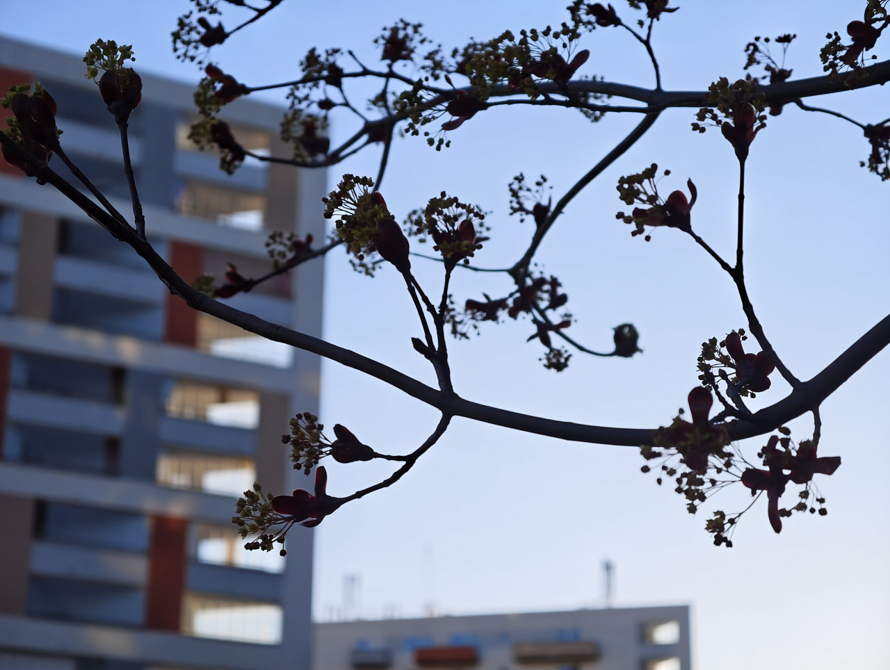 recenze mobilu Vivo X300 Ultra, test foto