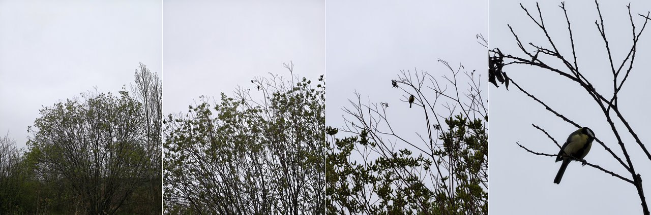 recenze novinky Vivo X300 Ultra, test digitální zoom