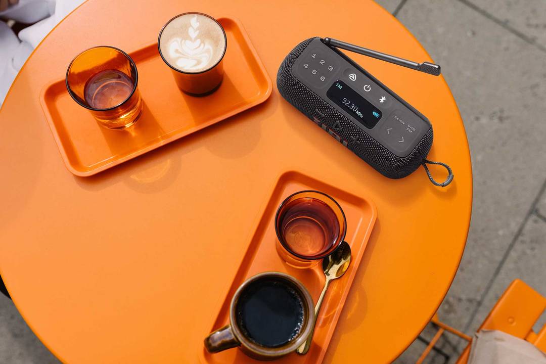 Přenosné rádio JBL Tuner 3