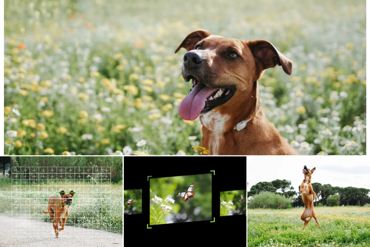 Digitální bezzrcadlovka Olympus OM System OM-5 Mark II, AF