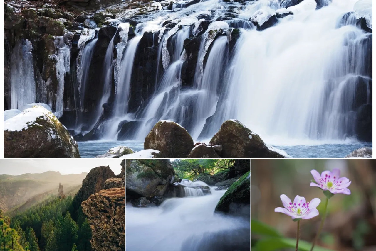 Digitální bezzrcadlovka Olympus OM System OM-5 Mark II, chytré tlačítko