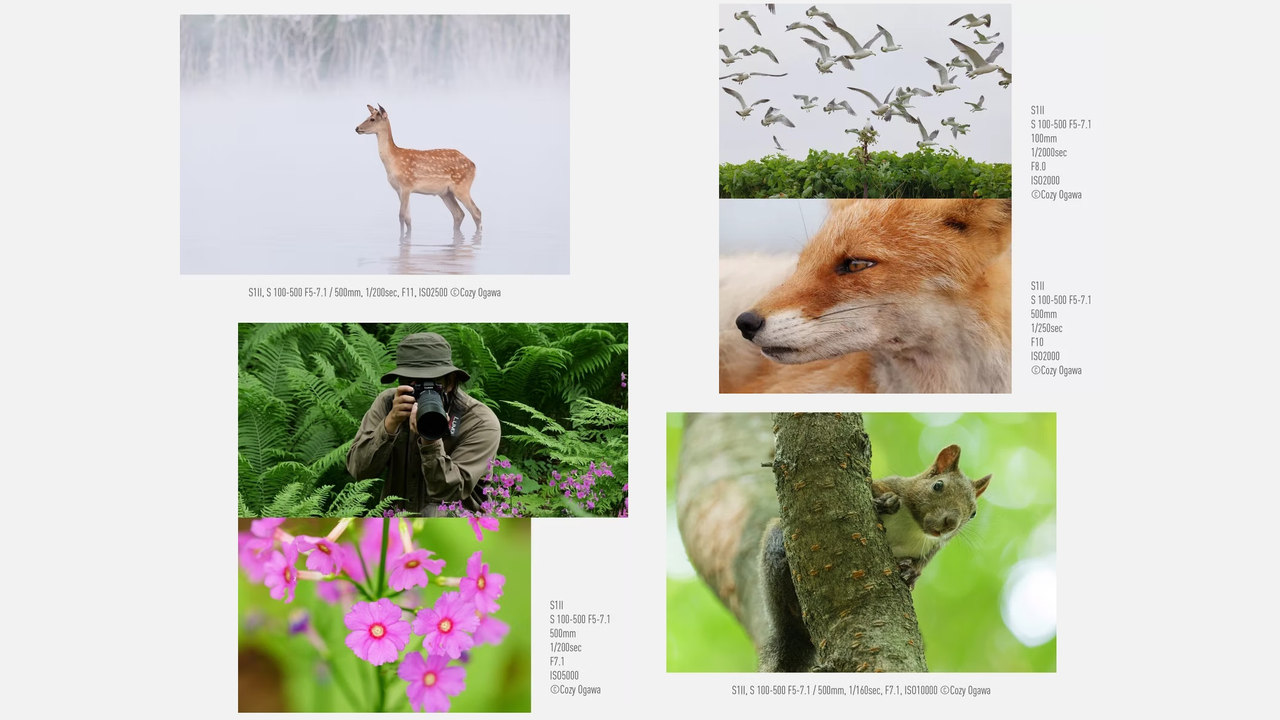 Teleobjektiv Panasonic Lumix S 100-500 mm f/5,0-7,1 O.I.S. (S-R100500)