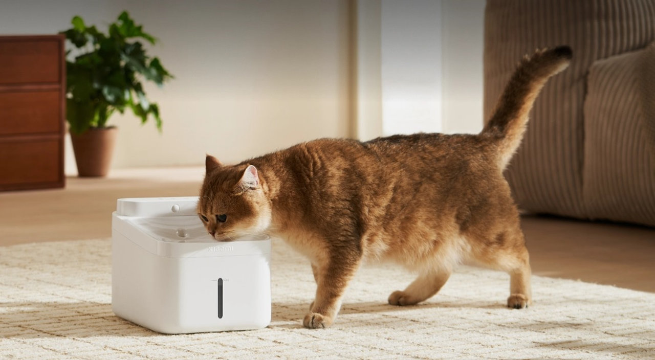 článek Dostupná chytrá domácnost