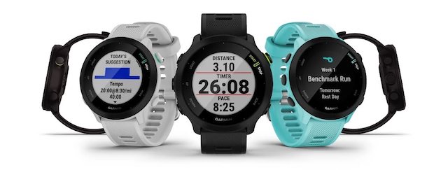 1-Garmin Forerunner 55.jpg