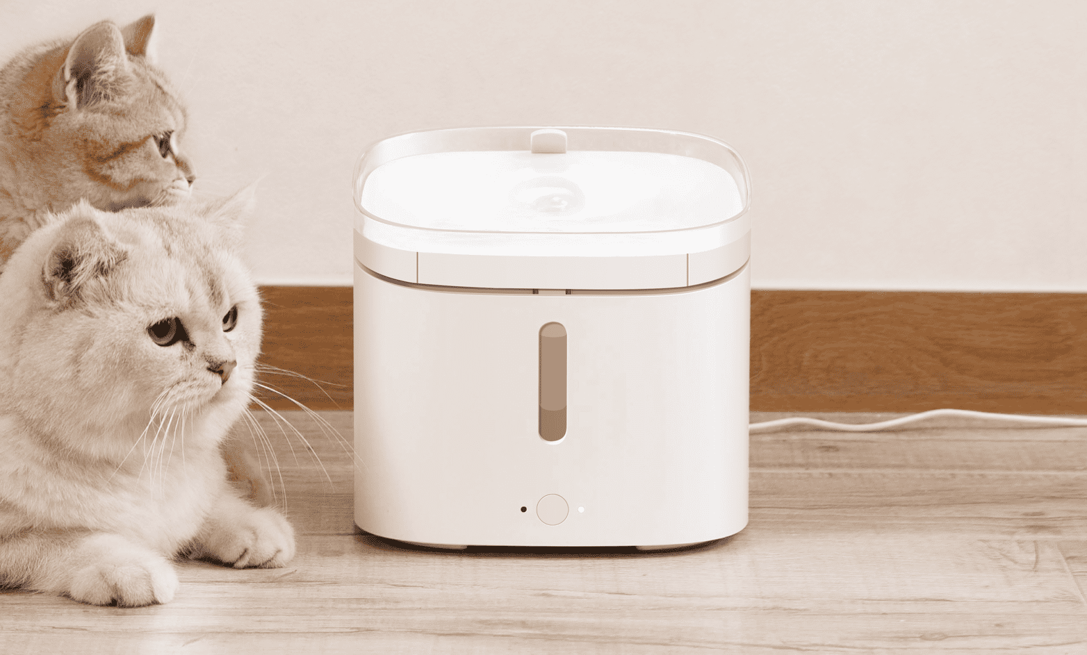 xiaomi-pet-fountain_01_optimized.png